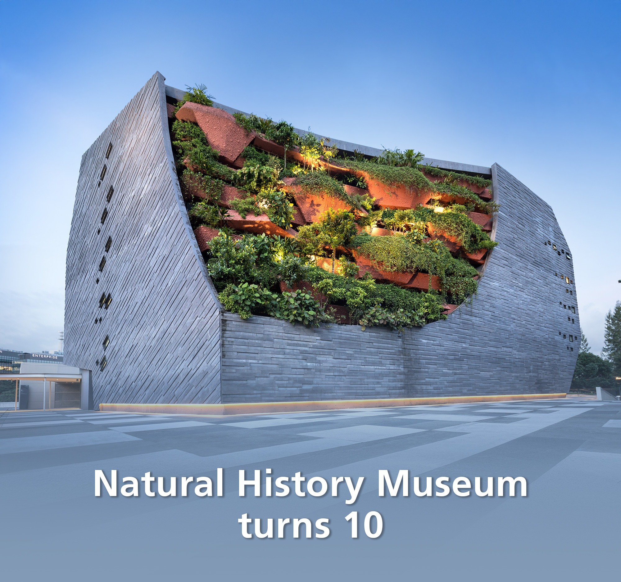 Natural History Museum turns 10