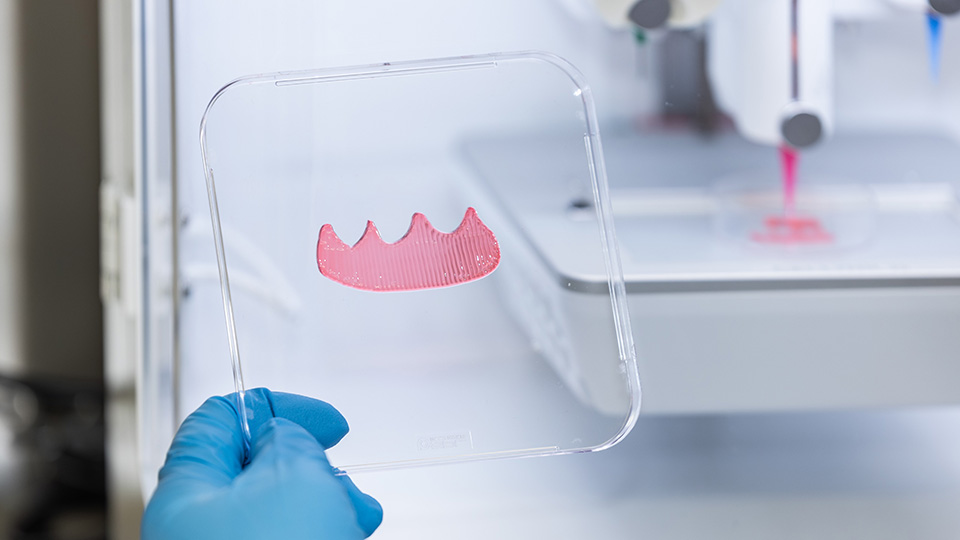 NUS researchers combine 3D bioprinting with AI to personalise oral soft tissue grafts